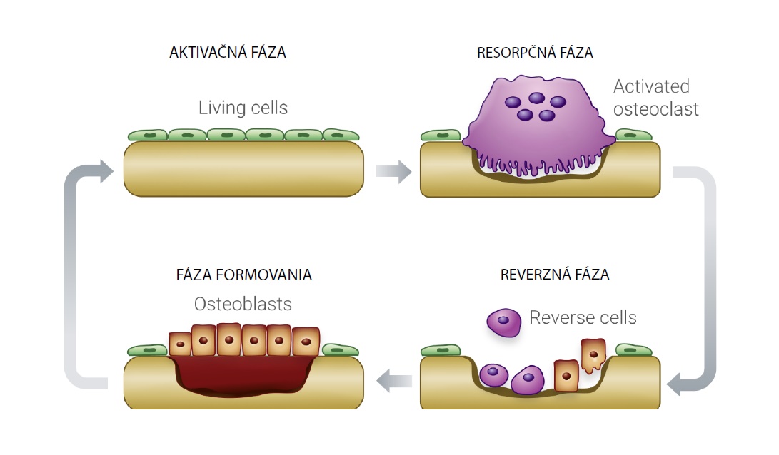 Snímka obrazovky 2025-01-27 210800